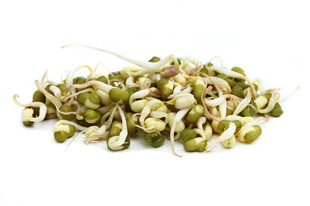 Macro image of mung bean sprouts Studio macro shot of a small heap of freshly grown organic mung bean sprouts. Spouts are a good source of nutrition and can be used as an ingredient in salads, soups, breads or eaten raw by themselves. These sprouts are in the early stage of sprouting, having just freshly sprouted from the seeds. Most still have seed hull attached.  mung bean stock pictures, royalty-free photos & images