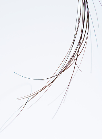 Macro Of Group Hair Strands Stock Photo - Download Image Now - iStock