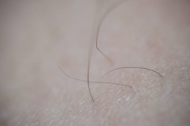 Macro of pubic hair Gross leg hairs macro body hair stock pictures, royalty-free photos & images