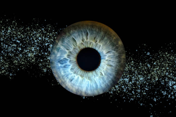 Macro shot of female eye, iris, cropped on black background, usable as creative background stock photo
