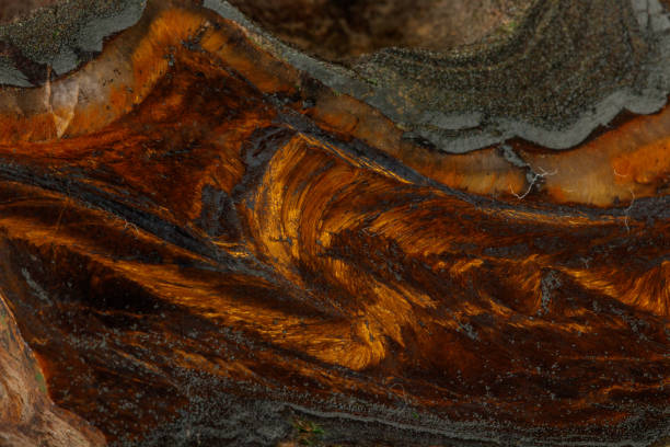 macro minéral oeil de tigre de pierre dans la roche sur le fond noir - tiger eye stone brut photos et images de collection