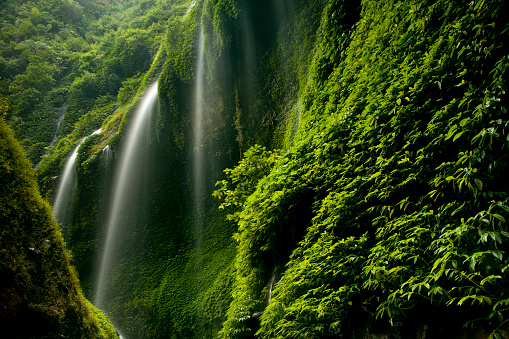 Madakaripura Waterfall in Java, Indonesia.