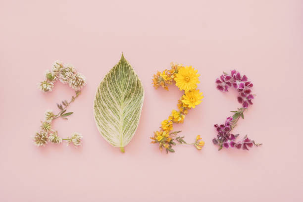 2022 made from natural plants, leaves and flowers, Happy New Year wellness and healthy lifestyle resolutions, holidays retreat concept stock photo