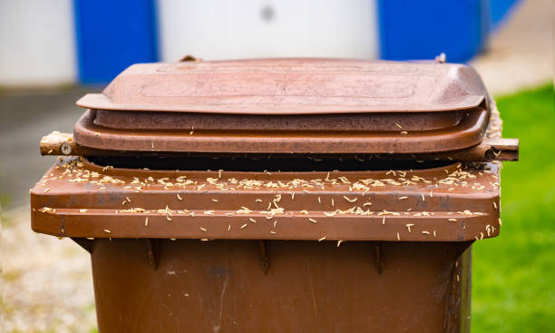 Maggots A lot of maggots on a brown trash can maggot stock pictures, royalty-free photos & images