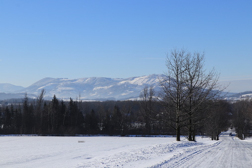 Magical winter landscape in foothills of Beskydy in czech republic, center of Europe. In front of image is frost forest road and background top of mountains with clear blue sky.