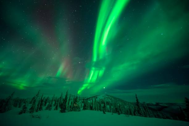 Magnificent green Northern Lights swirling over Snowy landscape stock photo