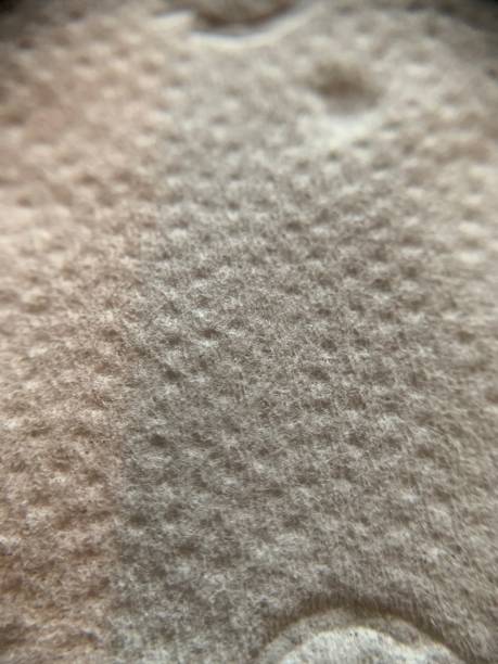 Magnified toilet roll stock photo