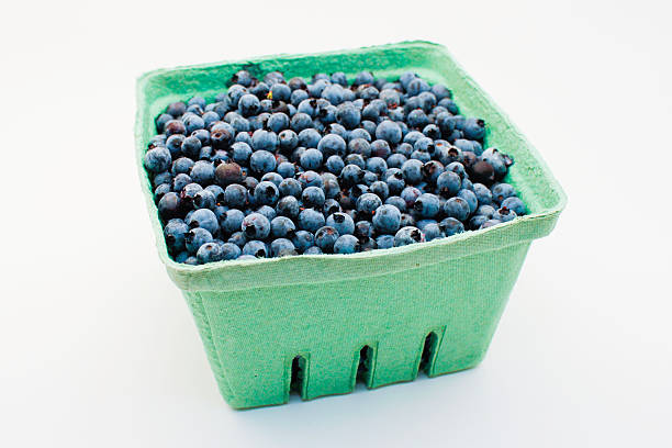 Maine Blueberries stock photo