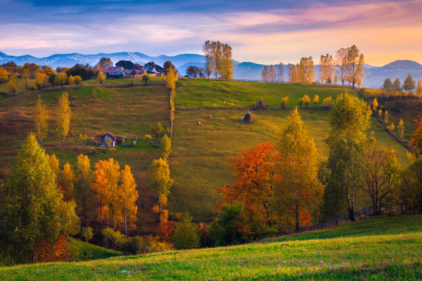 Majestic autumn countryside scenery with houses on the hills, Romania Wonderful autumn rural scenery and colorful deciduous trees on the slopes. Houses and gardens on the hill at sunset, Carpathians, Transylvania, Romania, Europe bucegi mountains stock pictures, royalty-free photos & images