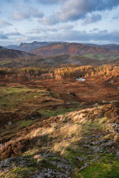 Majestic Autumn sunset landscape image from Holme Fell looking towards Coniston Water in Lake District stock photo