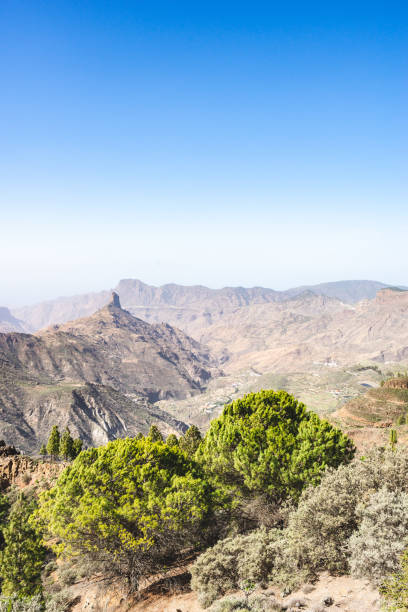Majestic view to Roque Nublo national park Famous natural landmark in Gran Canaria - Roque Nublo. las palmas stock pictures, royalty-free photos & images