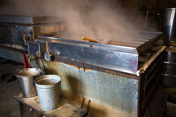 Making Maple Syrup stock photo