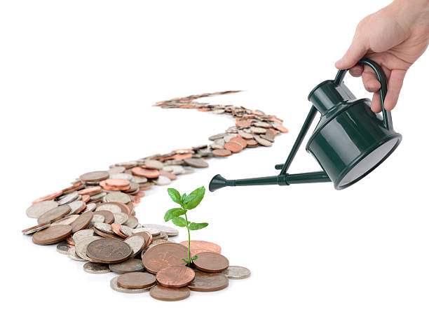 Making your money grow Caoncept of making you money grow, isolated on white ISA stock pictures, royalty-free photos & images
