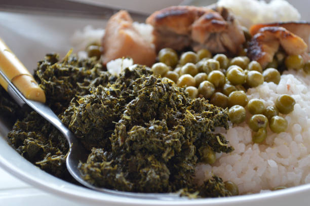 Malagasy dish from Madagascar : pounded cassava leaves and pork meat with rice and grilled breast of chicken and peas stock photo