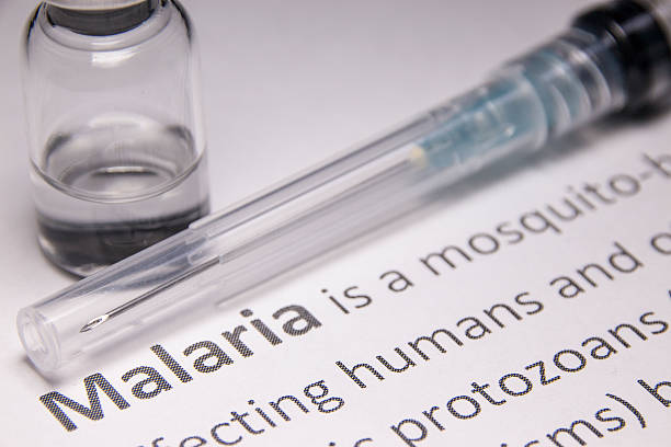 Malaria Malaria vaccine under research. malaria parasite stock pictures, royalty-free photos & images