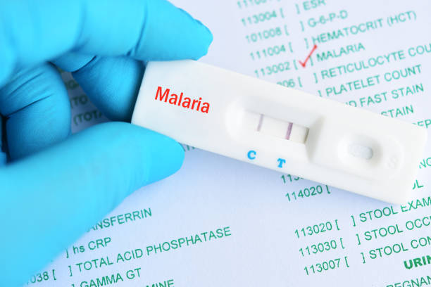 Malaria positive test result Malaria positive test result by using rapid test cassette malaria parasite stock pictures, royalty-free photos & images