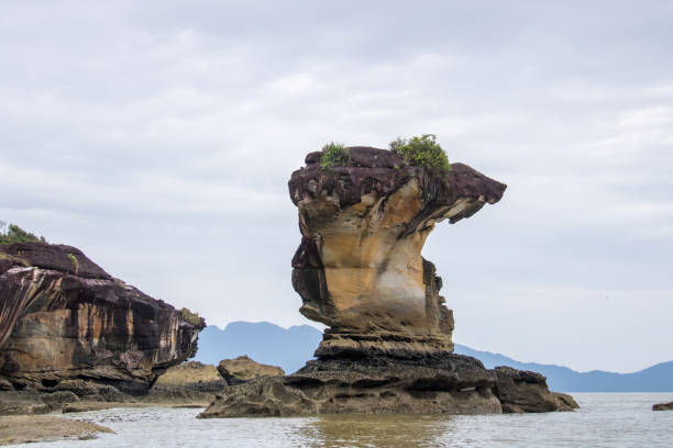 Malaysia: Sea Stack at Bako trail in sarawak