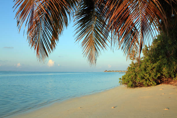 Maldives Beach stock photo