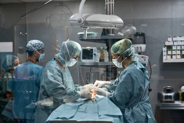 Male and female surgeons performing surgery on dog Male and female surgeons performing surgery on dog. Doctors are wearing scrubs in operating room. Veterinarians are performing medical procedure on animal. surgery stock pictures, royalty-free photos & images