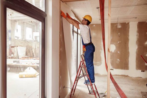Male builder hanging wallpaper on the wall stock photo