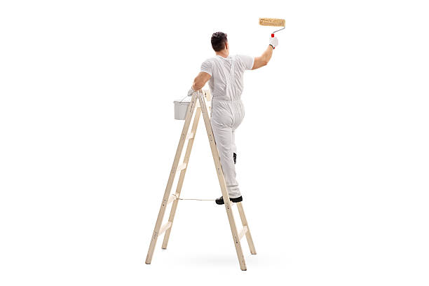 Male decorator painting with a roller Young male decorator painting with a paint roller climbed up a ladder isolated on white background ladder stock pictures, royalty-free photos & images