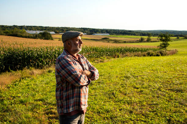 A male farmer looking concerned stock photo
