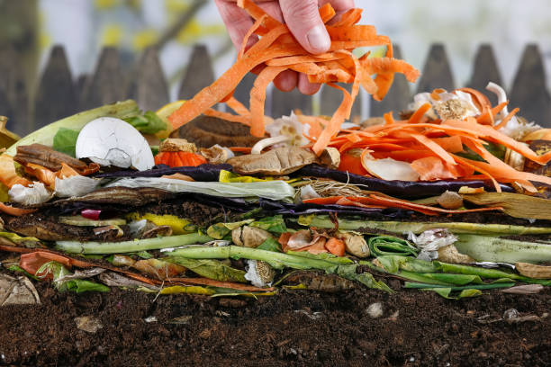 Male hand adding carrot peels "nto a compost heap Male hand adding carrot peels "nto a colorful compost heap consisting of rotting kitchen leftovers compost stock pictures, royalty-free photos & images