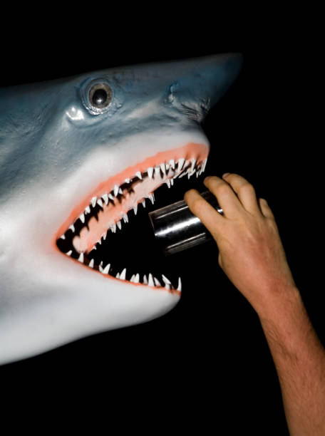 Male hand with a glass in the mouth of the great white shark. stock photo