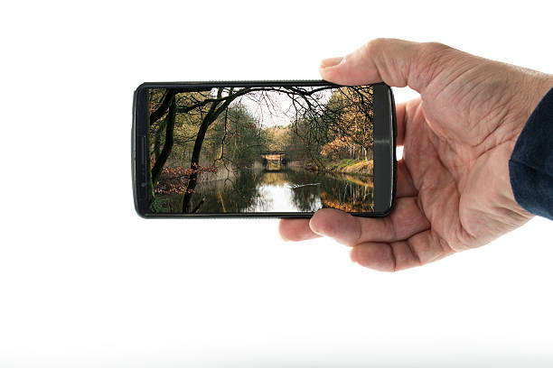 male hand with mobile phone with nature stock photo