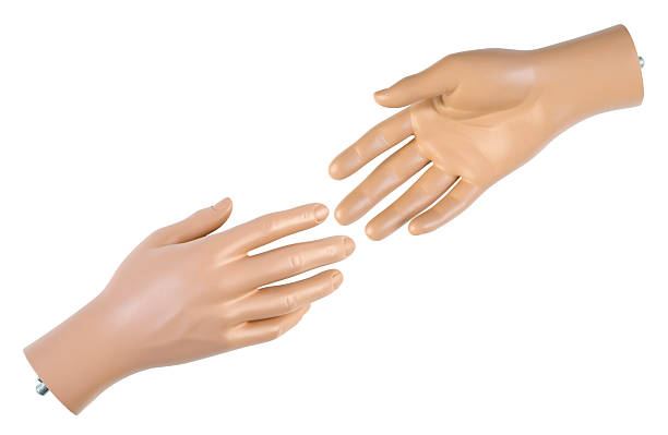 Male mannequin hand | Isolated stock photo