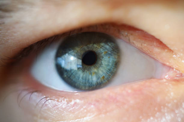 Male pupil is blue with overhanging eyelid stock photo