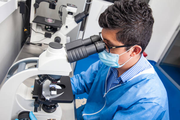 Male scientist looking at slides under the microscope Young male scientist looking at slides under the microscope histology stock pictures, royalty-free photos & images