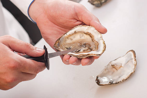 Male shucks oysters using a tiny knife stock photo