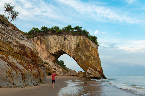 horse look-a-like stone structure at Tusan Cliff Beach, Miri, sarawak, malaysia