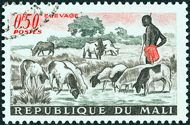Malian stamp shows sheep at pool (1961 stock photo