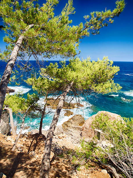 Mallorca Coastline stock photo
