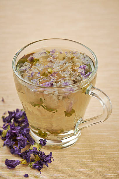 Mallow flower tea stock photo