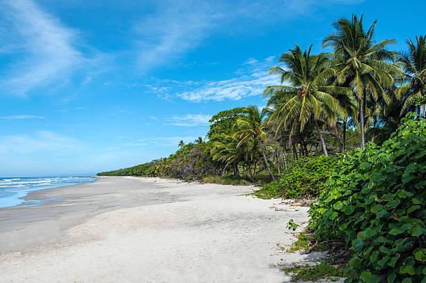 Malpais Beach, Costa Rica stock photo