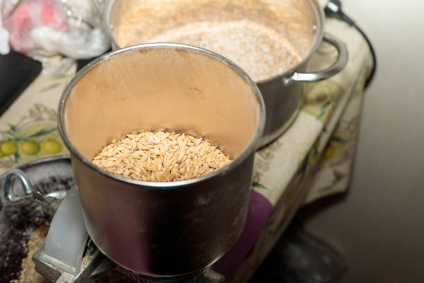 malt is poured into the mill for grinding, preparation for brewing beer stock photo