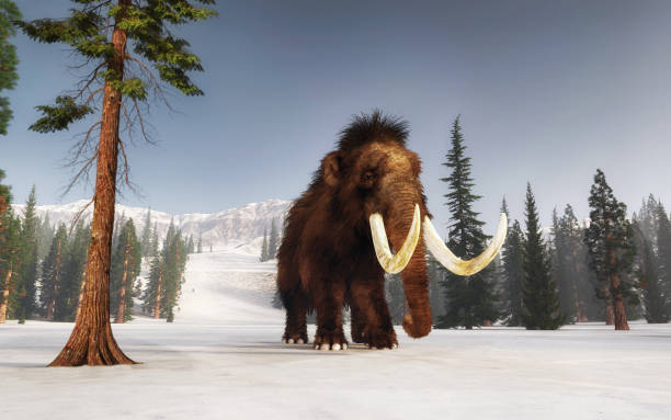 Mammoth walking on snow covered hills. Mountain environment . This is a 3d render illustration. stock photo