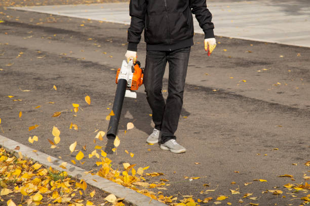 A man, a utility worker, removes leaves stock photo