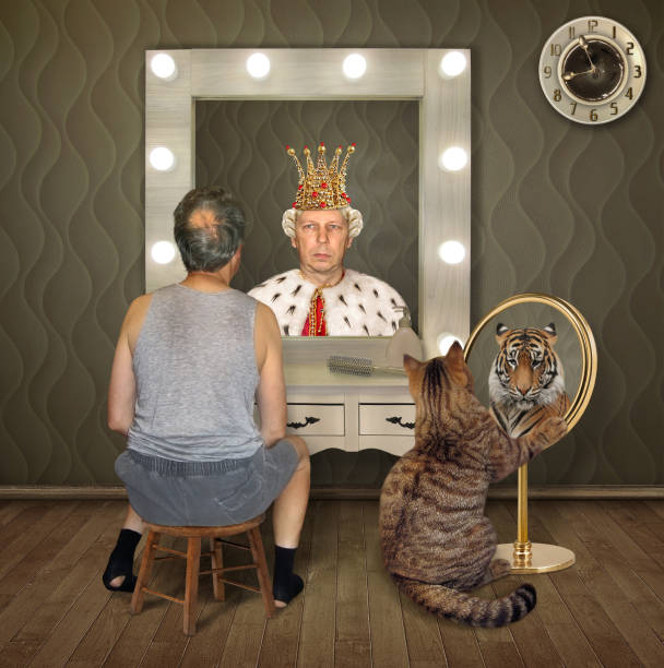 Man and cat look at mirrors The balding man in a T-shirt and shorts and his cat examine their reflections in the mirrors. The first sees the king, and the second tiger. arrogance stock pictures, royalty-free photos & images