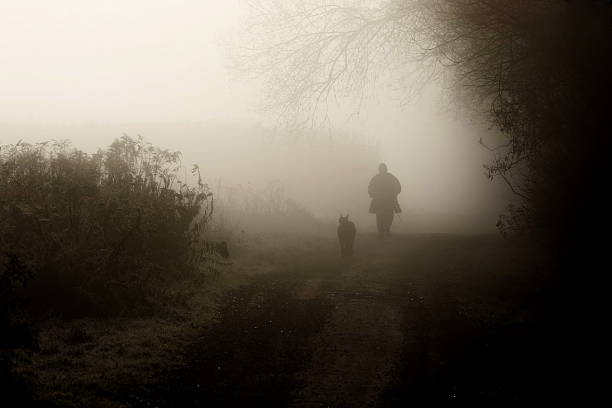 Man and Dog Walking Down Dirt Road in Fog  early morning dog walk stock pictures, royalty-free photos & images