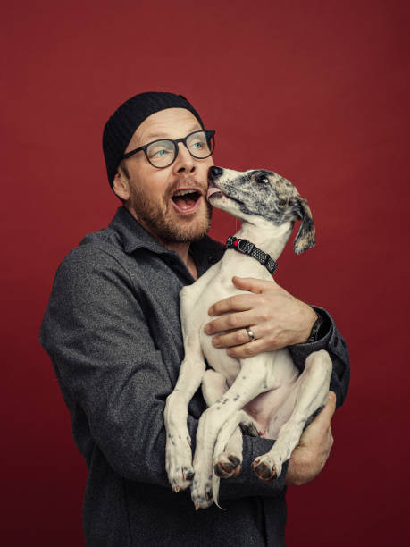 Man and small puppy dog stock photo