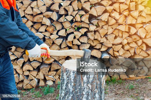 istock man chopping wood with a cleaver. Harvesting drop for the winter in Russia. Birch firewood. 1357427030