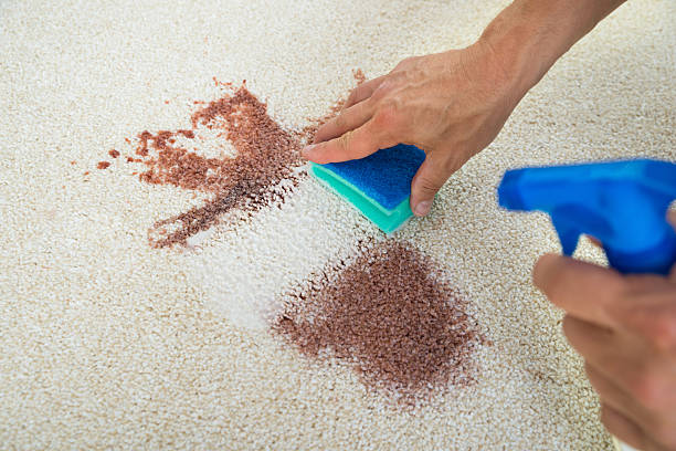 Man Cleaning Stain On Carpet With Sponge Cropped image of man cleaning stain on carpet with sponge carpet stain stock pictures, royalty-free photos & images