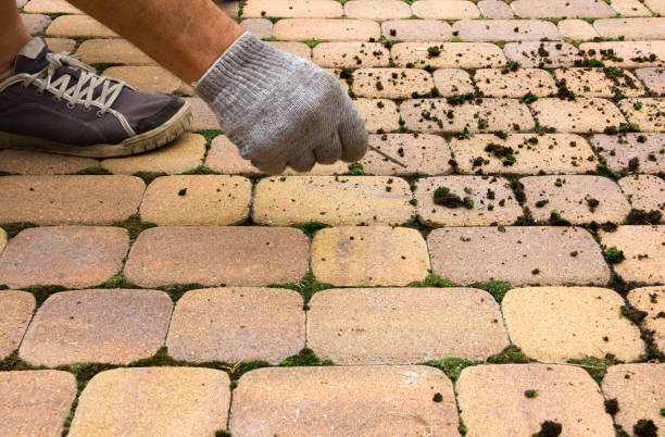 Man cleans the street tile from the moss. Restoring order in the garden, pulling moss and dirty from the sidewalk. The moss on track. stock photo