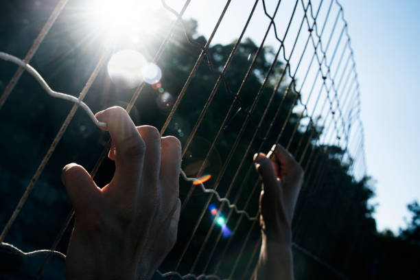 man climbing up a metal fence closeup of the hands of a man trying to climb up a metal fence illegal immigrant stock pictures, royalty-free photos & images