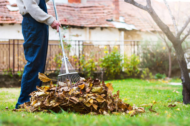 Photo of Man collecting fallen autumn leaves in the yard