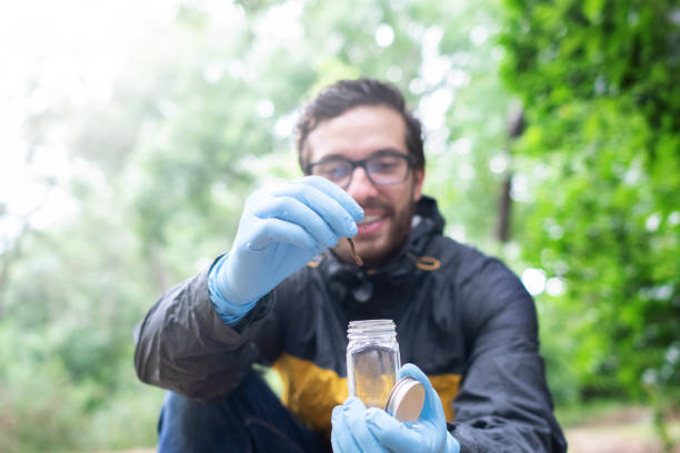 A man collecting specimens in nature stock photo